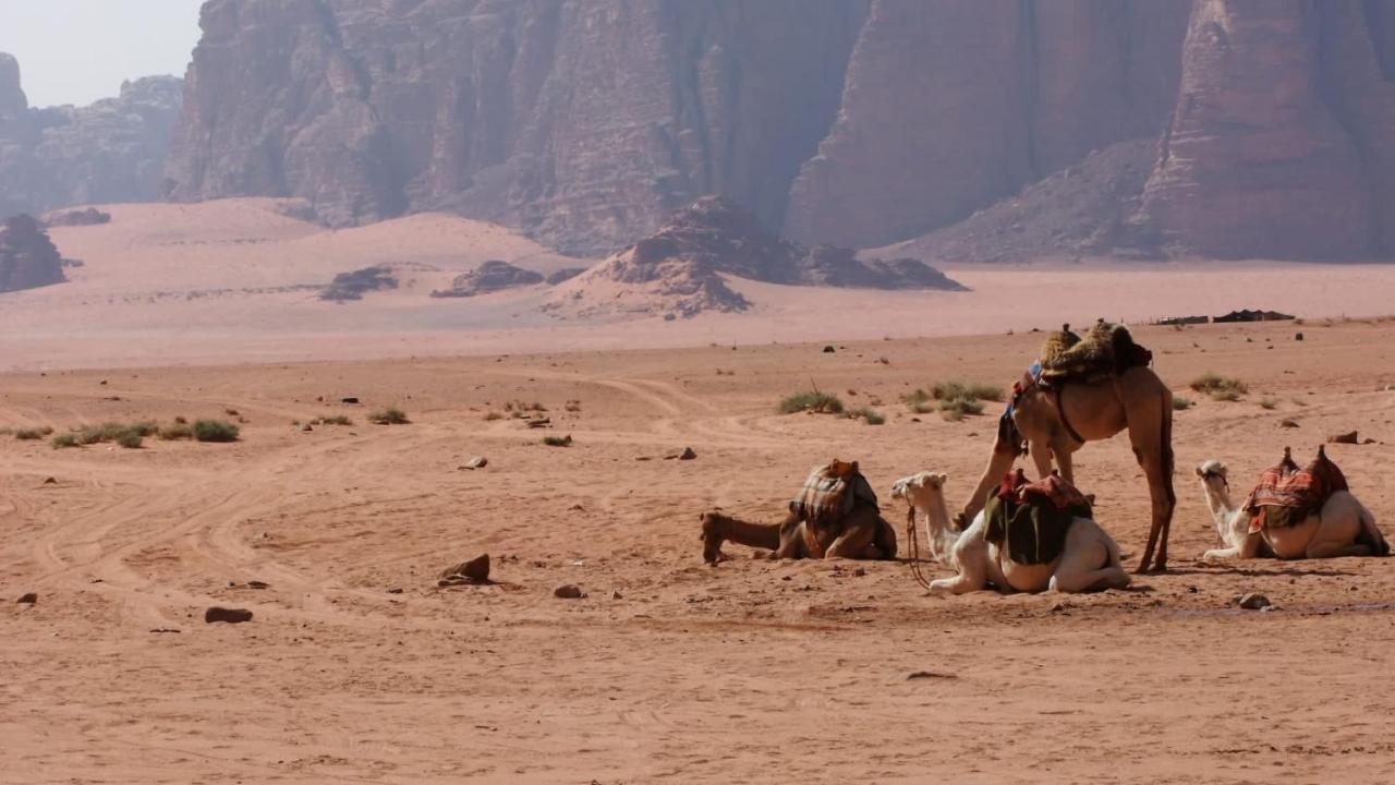 Bedouin Memories Camp Otel Ram Vadisi Dış mekan fotoğraf